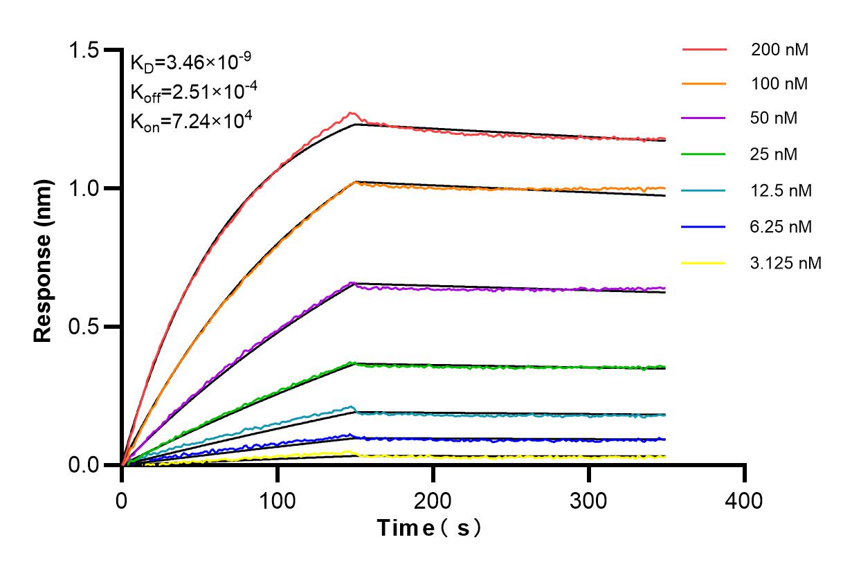 Affinity and Kinetic Characterization of 83307-3-RR