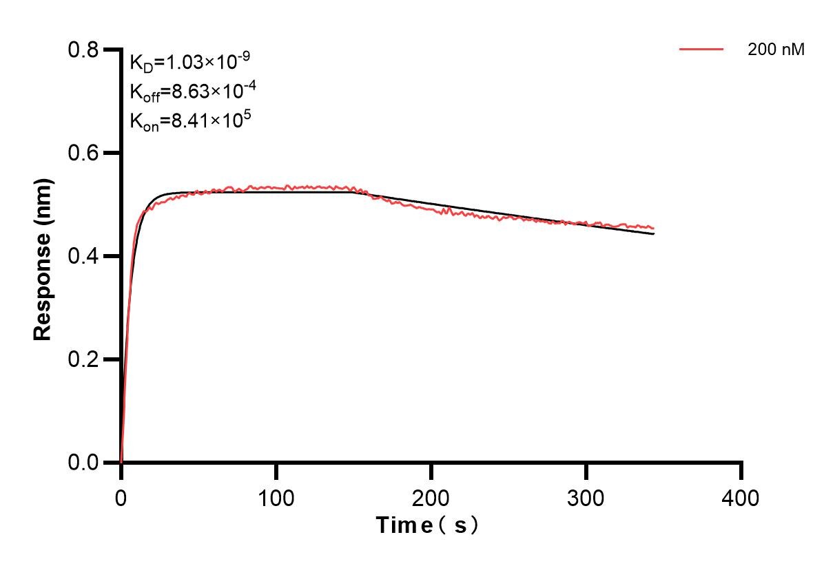 Affinity and Kinetic Characterization of 83310-5-PBS