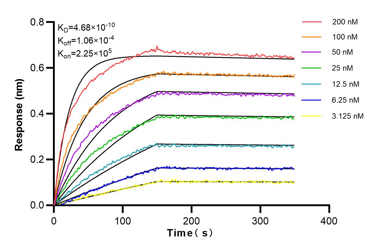 Affinity and Kinetic Characterization of 83341-2-PBS