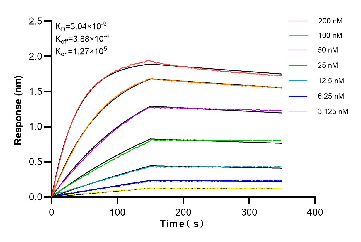 Affinity and Kinetic Characterization of 83345-1-RR