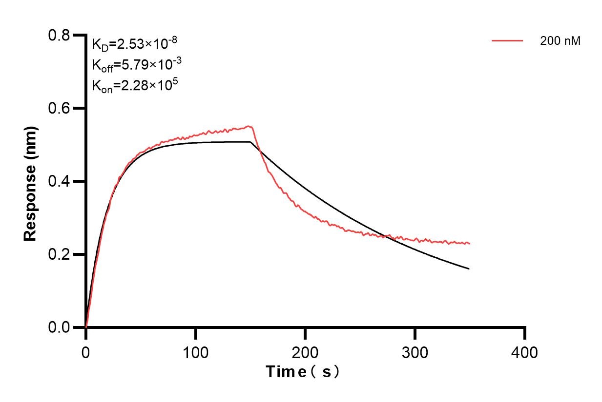 Affinity and Kinetic Characterization of 83347-4-PBS