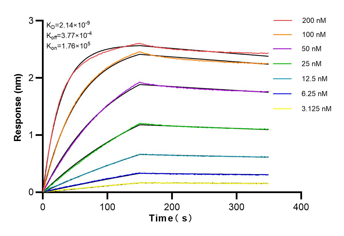 Affinity and Kinetic Characterization of 83351-6-RR