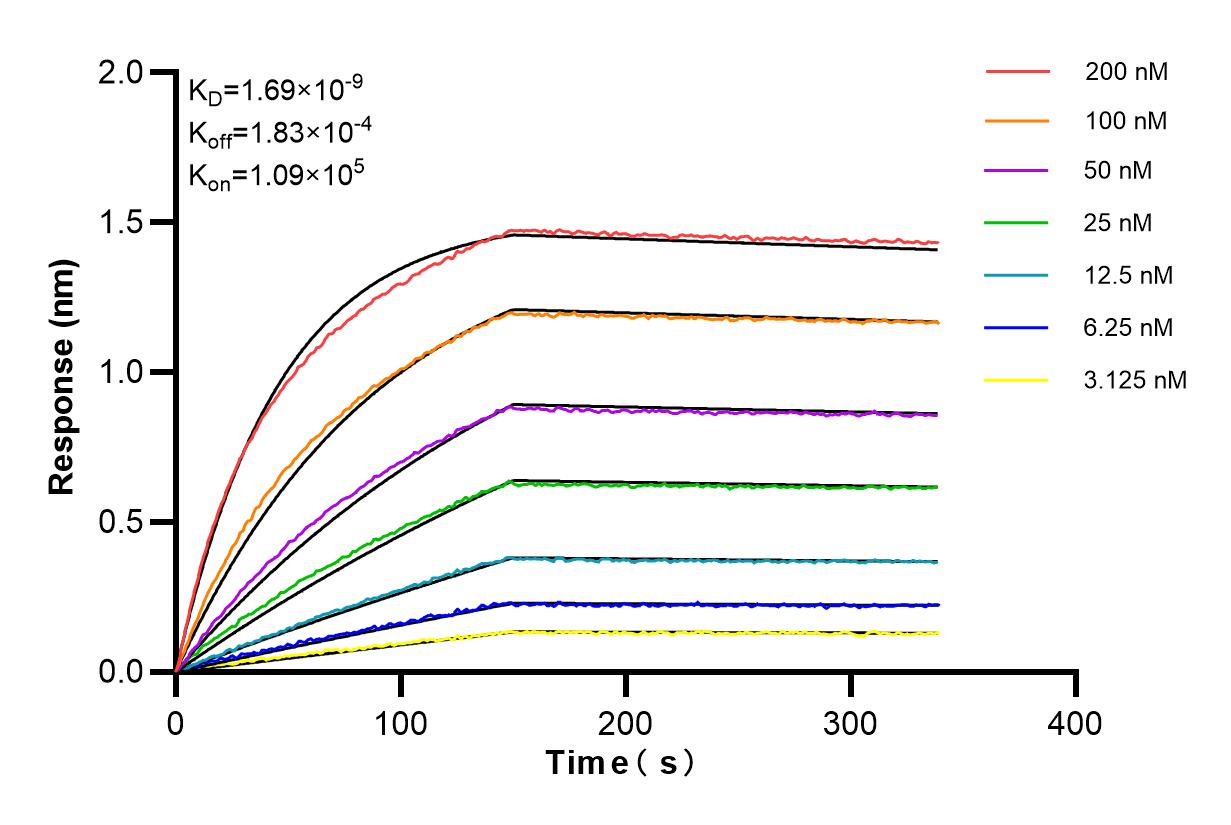 Affinity and Kinetic Characterization of 83367-2-RR