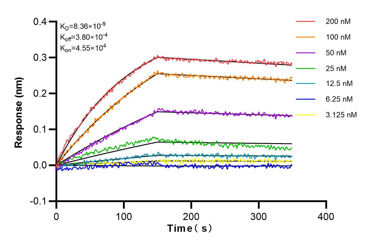 Affinity and Kinetic Characterization of 83370-2-PBS