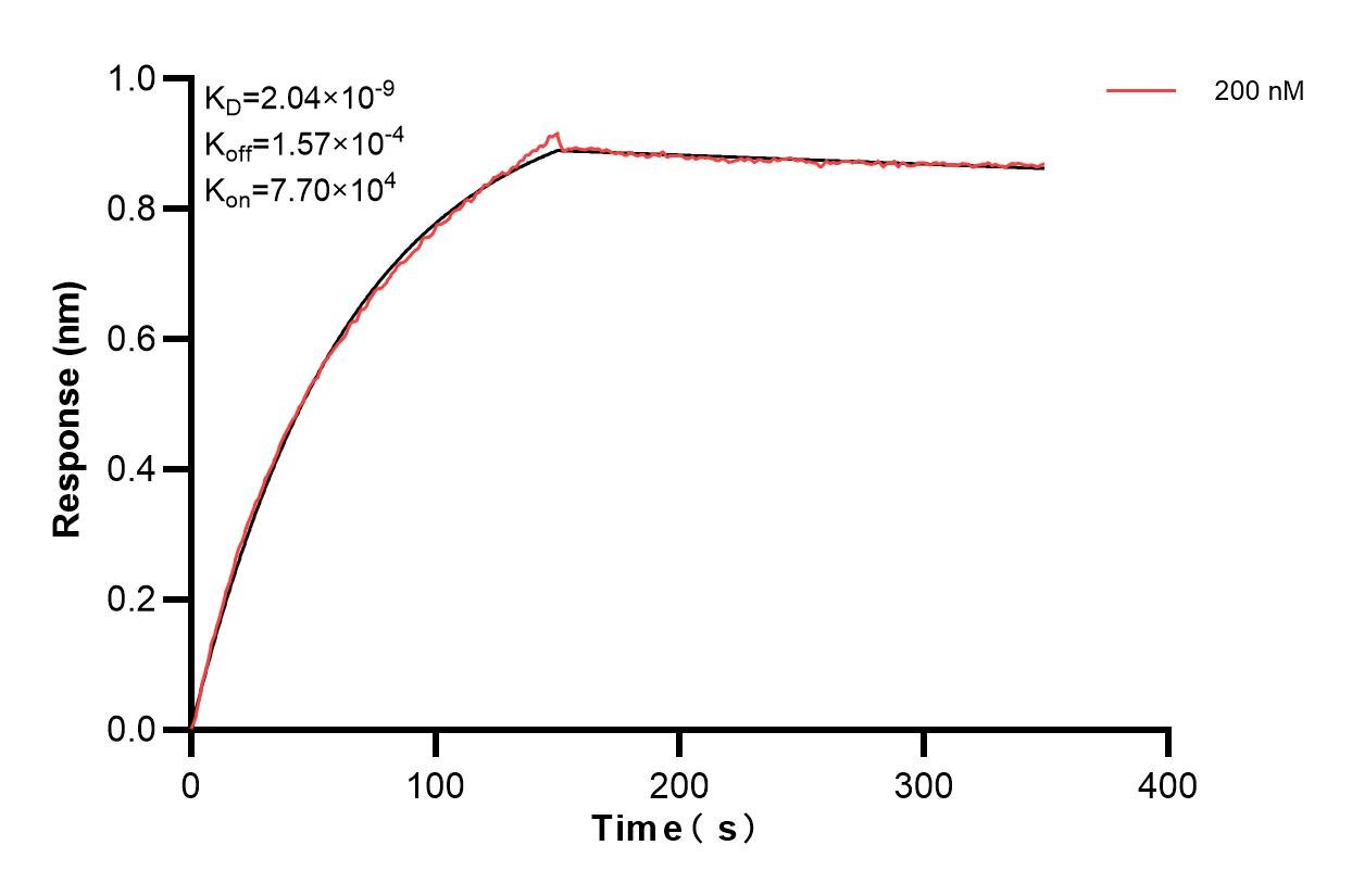 Affinity and Kinetic Characterization of 83385-3-PBS