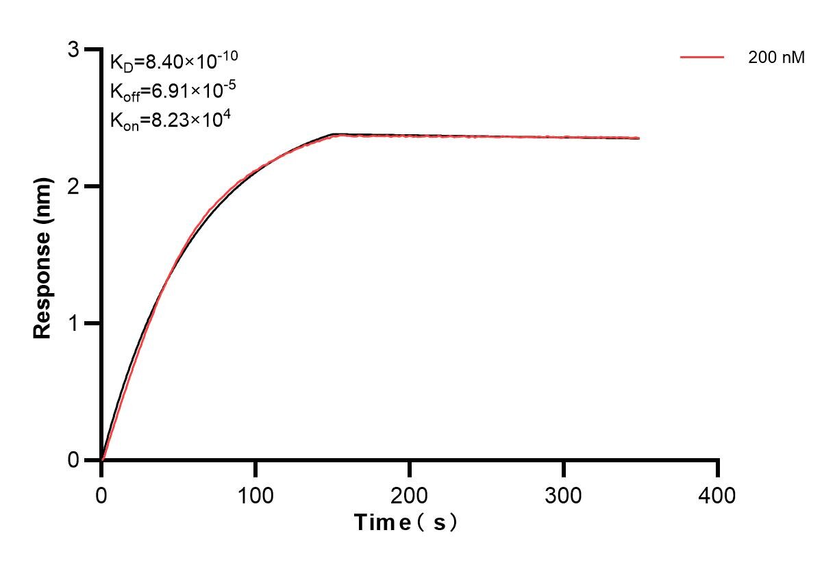 Affinity and Kinetic Characterization of 83385-5-PBS