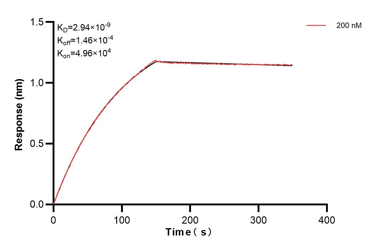 Affinity and Kinetic Characterization of 83386-6-PBS