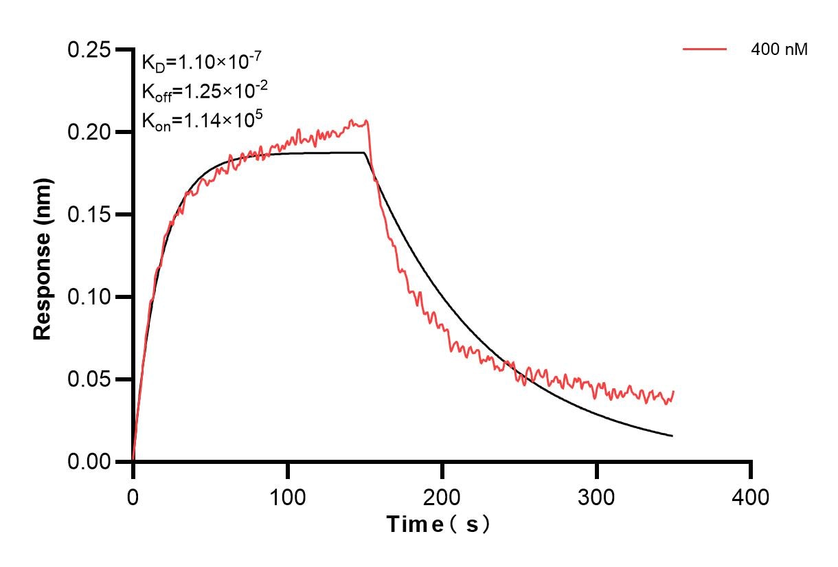 Affinity and Kinetic Characterization of 83389-3-PBS