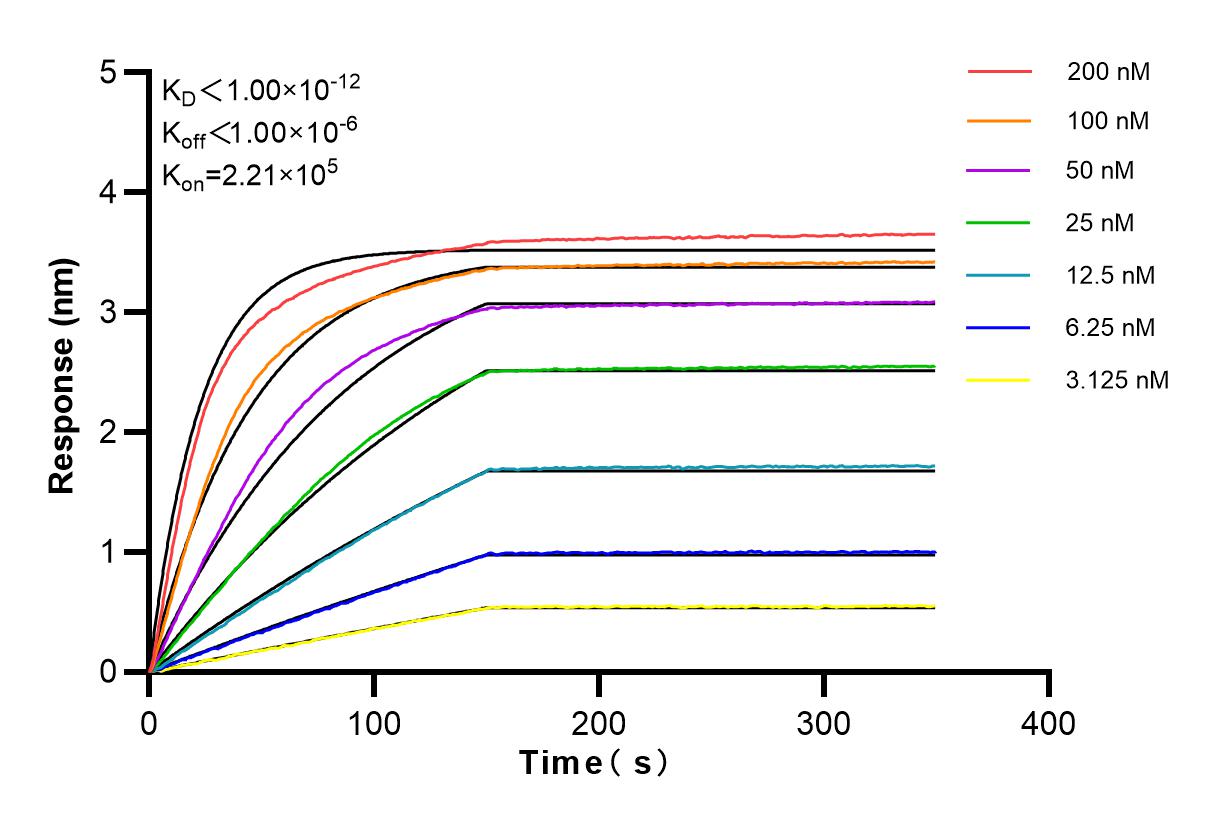Affinity and Kinetic Characterization of 83392-3-PBS
