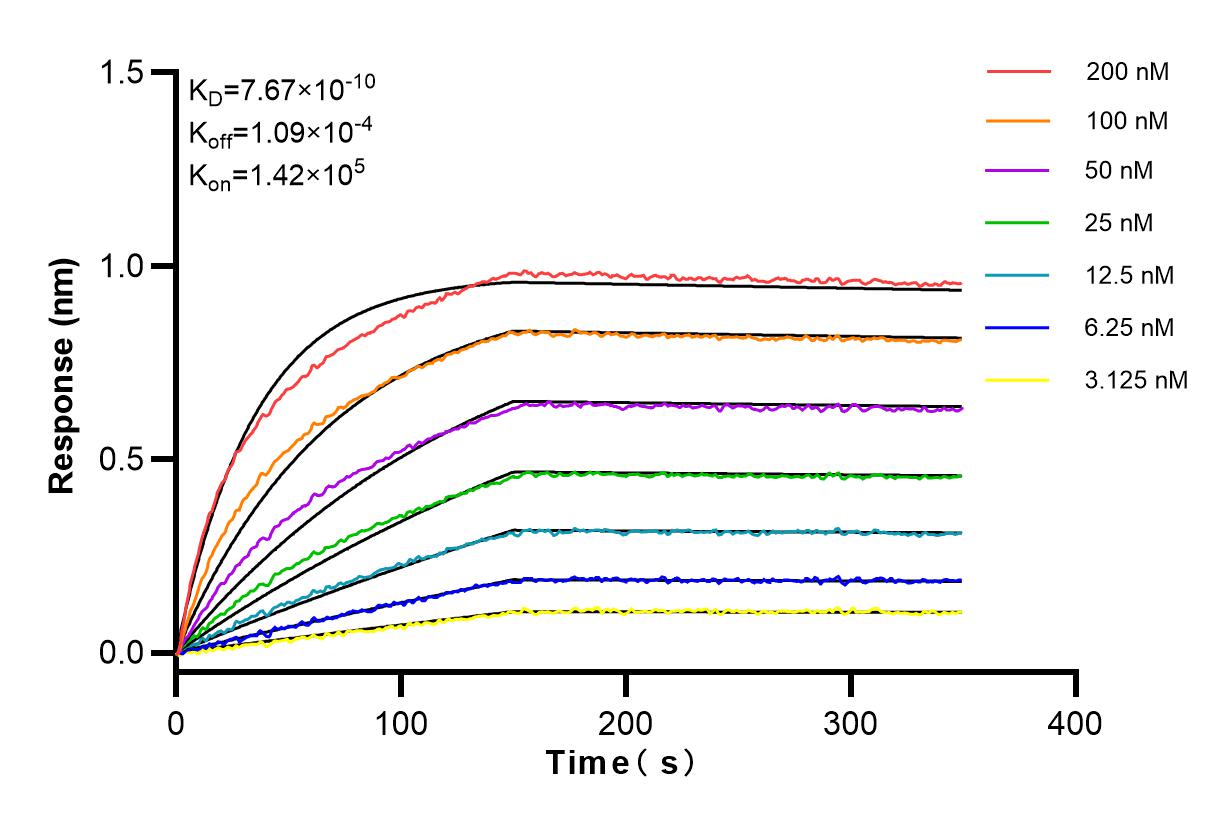 Affinity and Kinetic Characterization of 83396-13-RR