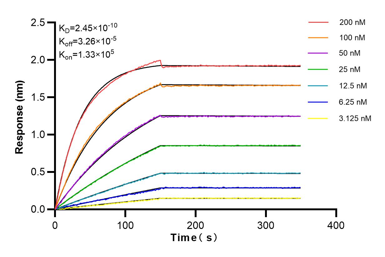 Affinity and Kinetic Characterization of 83398-1-RR