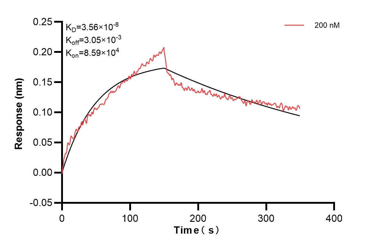 Affinity and Kinetic Characterization of 83402-2-PBS
