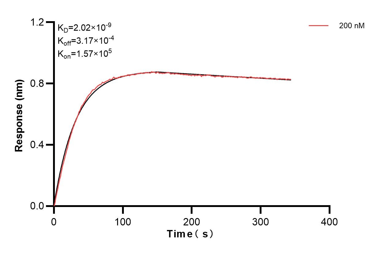 Affinity and Kinetic Characterization of 83404-1-PBS
