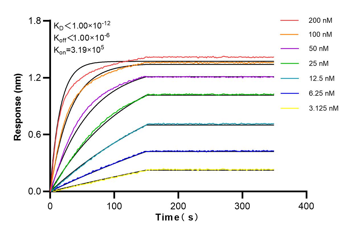 Affinity and Kinetic Characterization of 83407-7-RR