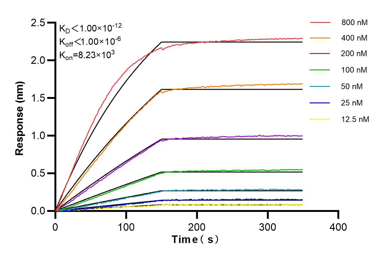 Affinity and Kinetic Characterization of 83412-4-RR