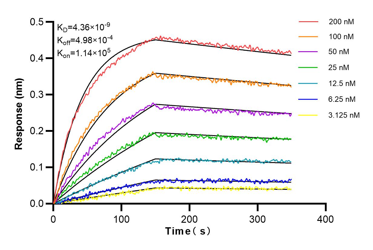 Affinity and Kinetic Characterization of 83413-5-RR