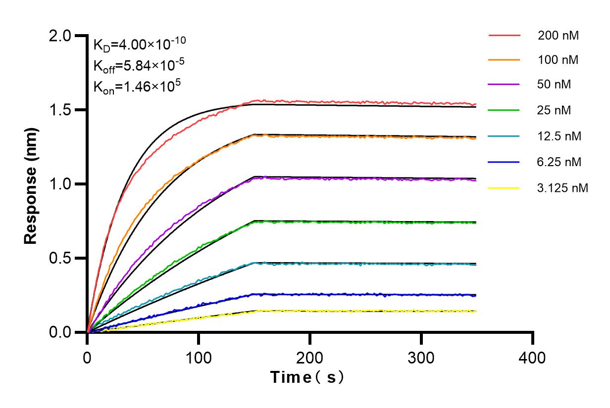 Affinity and Kinetic Characterization of 83419-4-RR