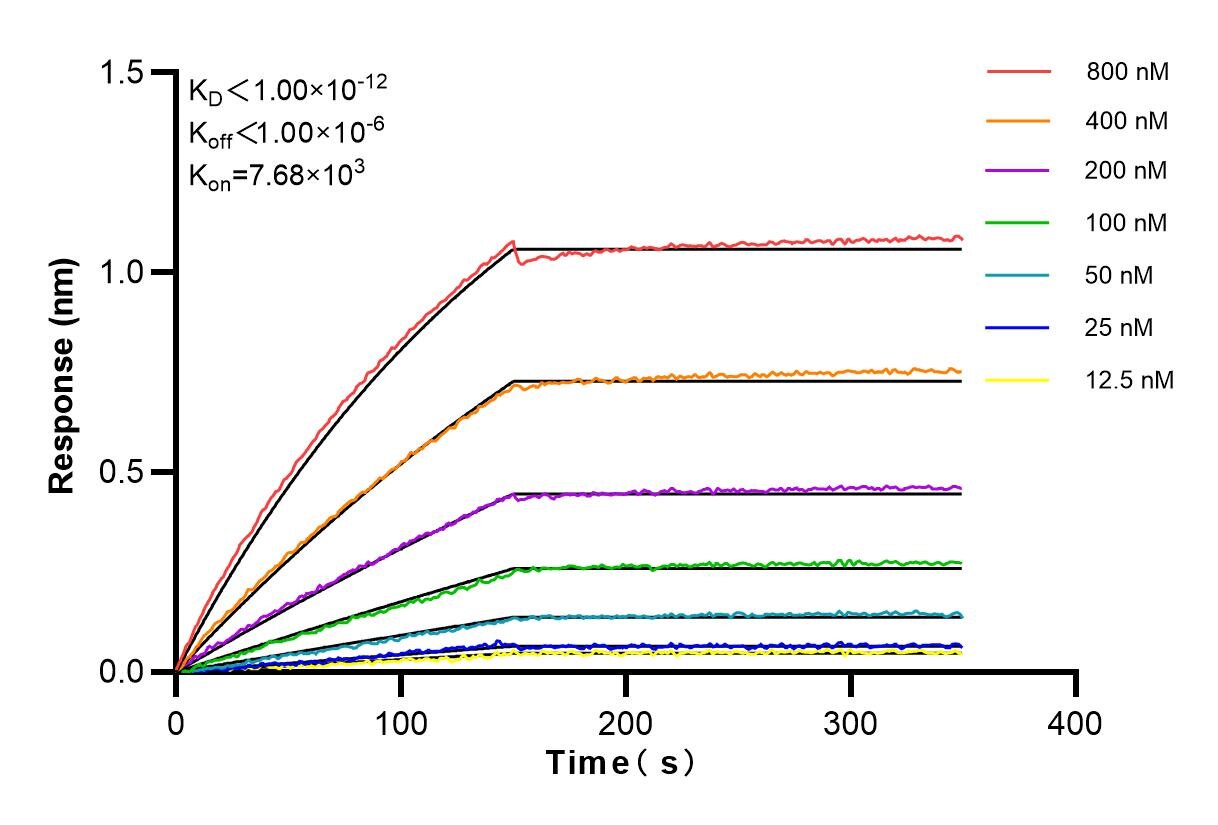 Affinity and Kinetic Characterization of 83421-1-RR