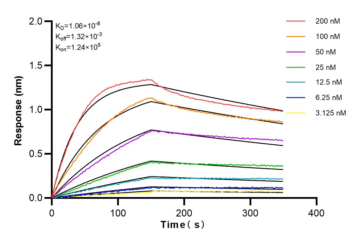 Affinity and Kinetic Characterization of 83432-1-RR