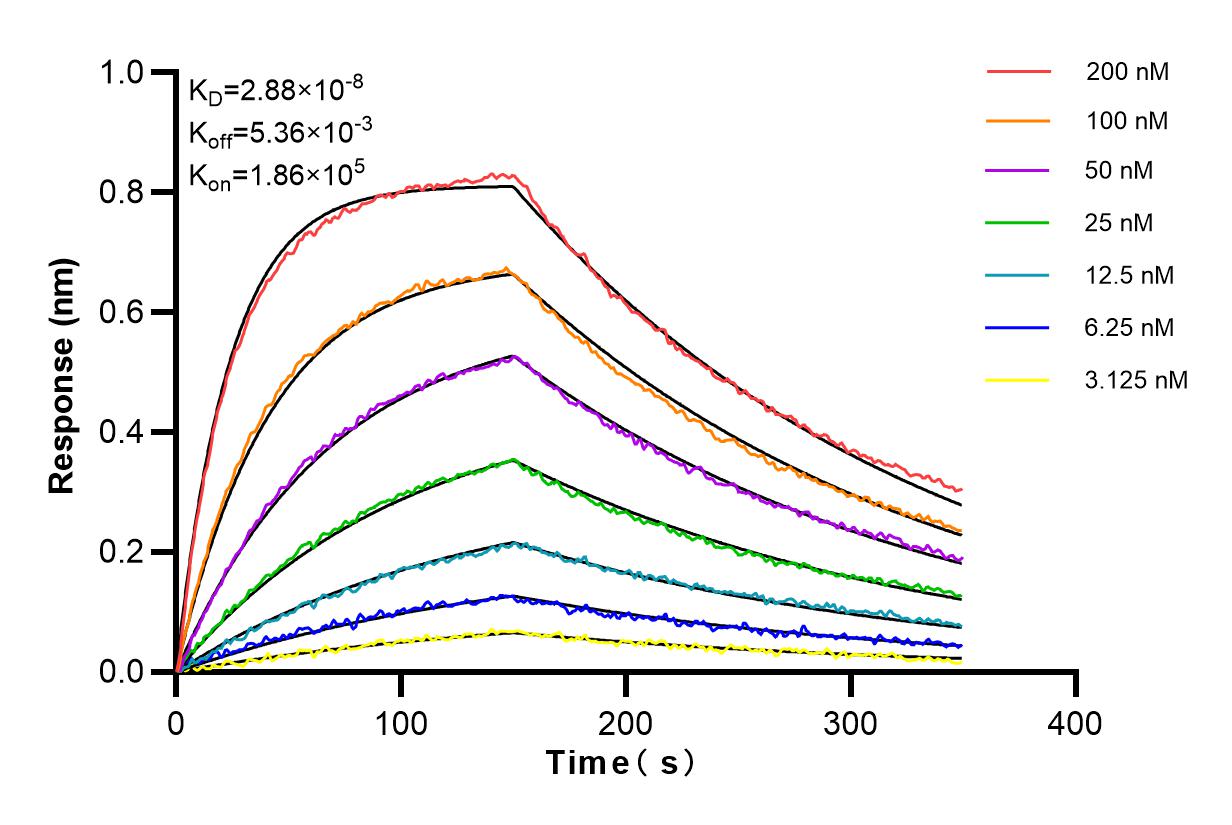 Affinity and Kinetic Characterization of 83437-5-RR