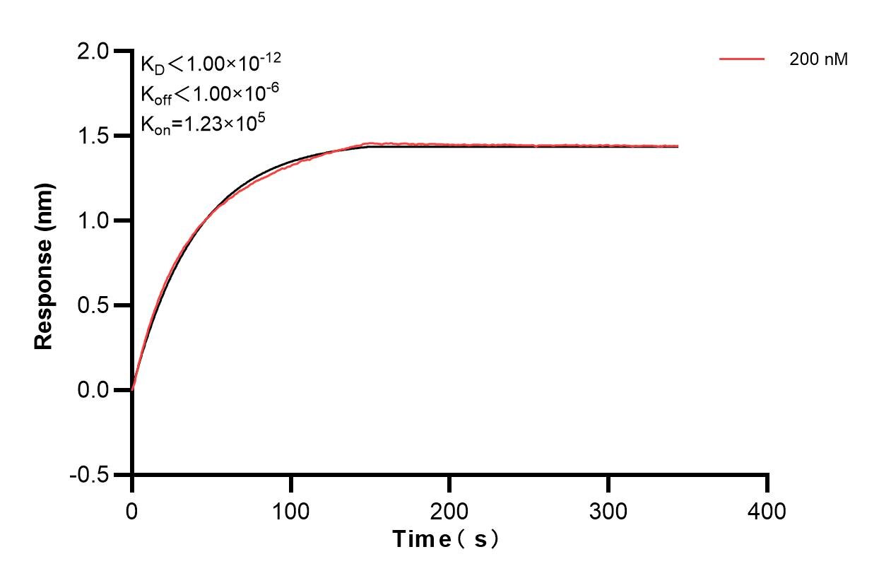 Affinity and Kinetic Characterization of 83442-1-PBS