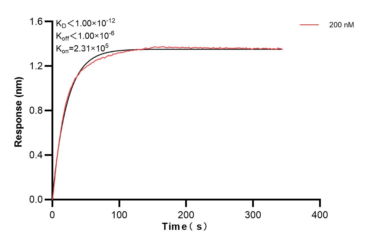 Affinity and Kinetic Characterization of 83442-5-PBS