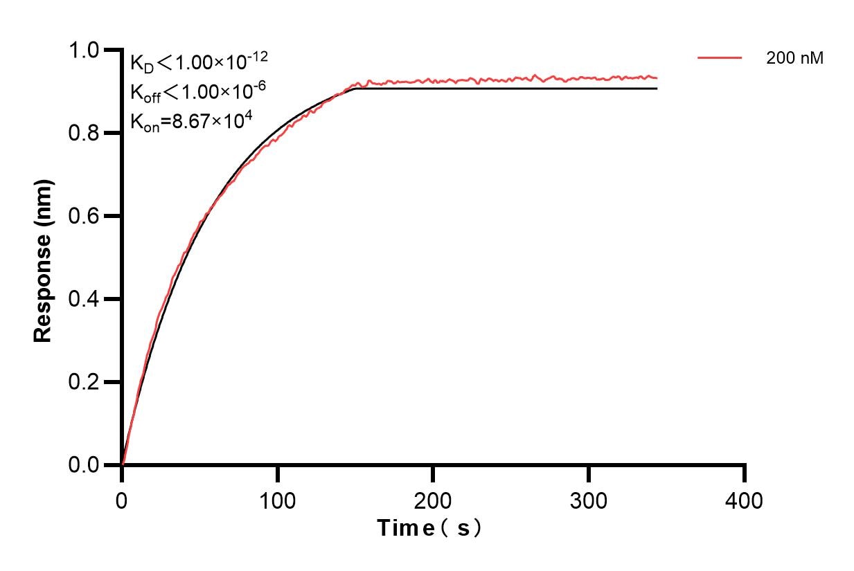 Affinity and Kinetic Characterization of 83446-1-PBS