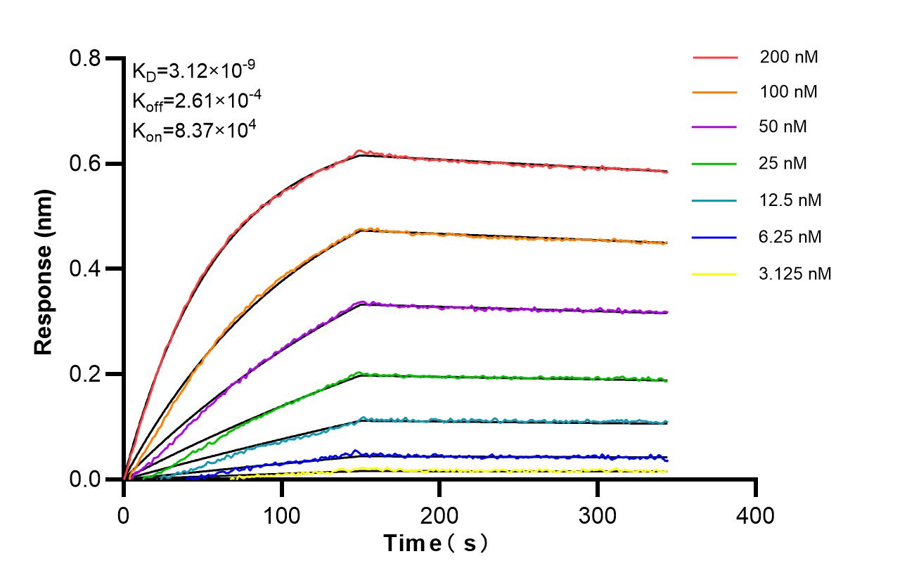 Affinity of 83448-9-RR Affinity of 83448-9-RR