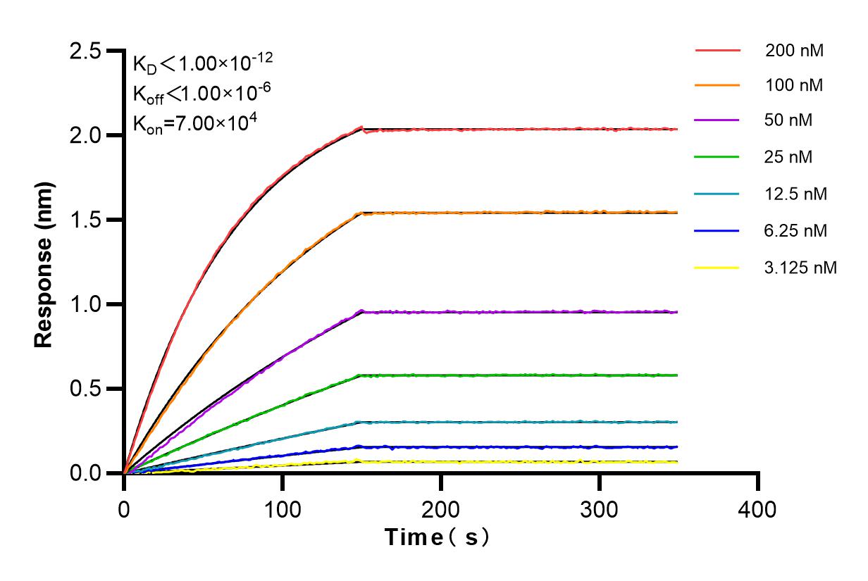 Affinity and Kinetic Characterization of 83452-4-RR