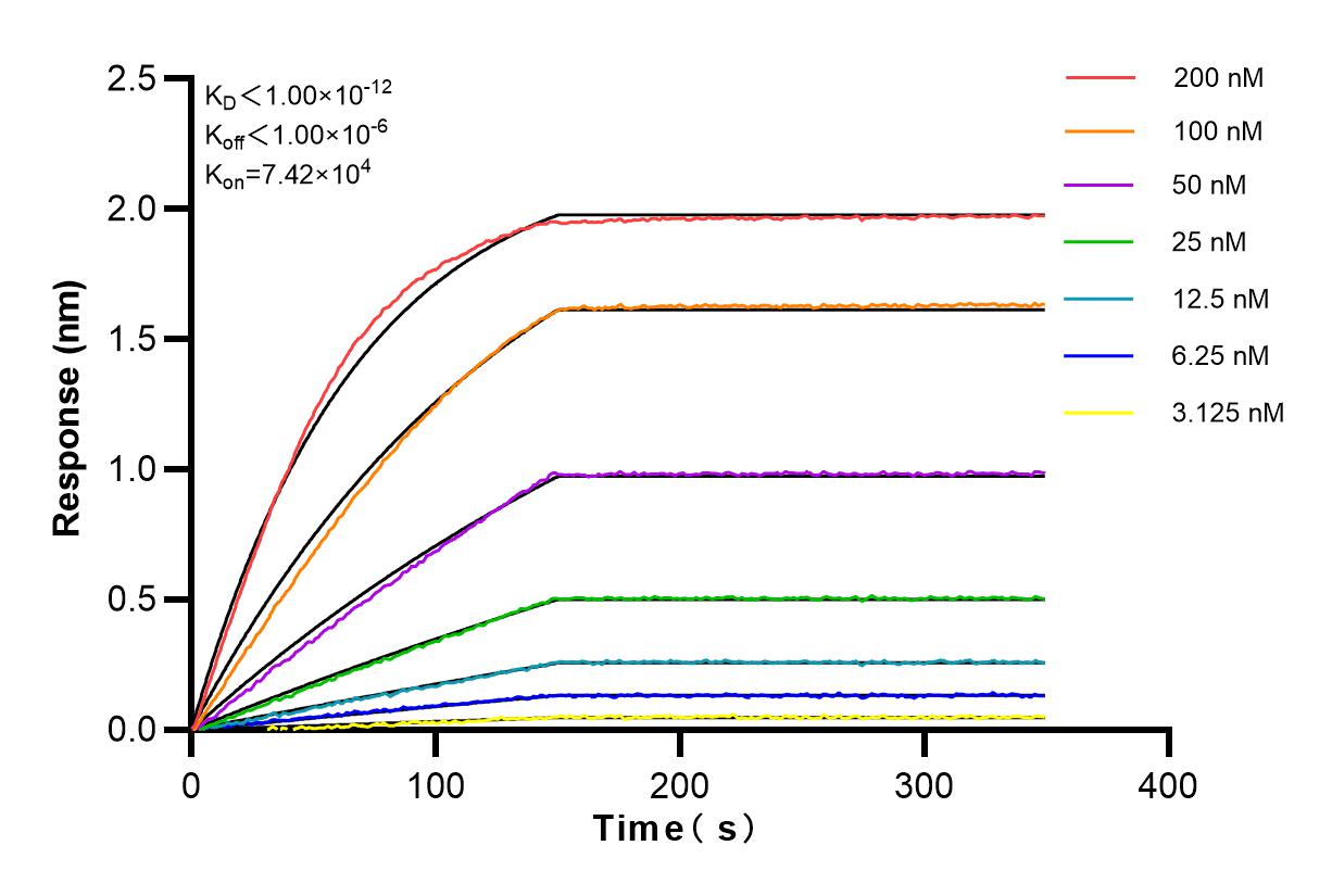 Biolayer interferometry (BLl) kinetic assays of 83457-1-RR against Human LPAR4 were performed. The affinity constant is below 1 pM.
Affinity and Kinetic Characterization of 83457-1-RR