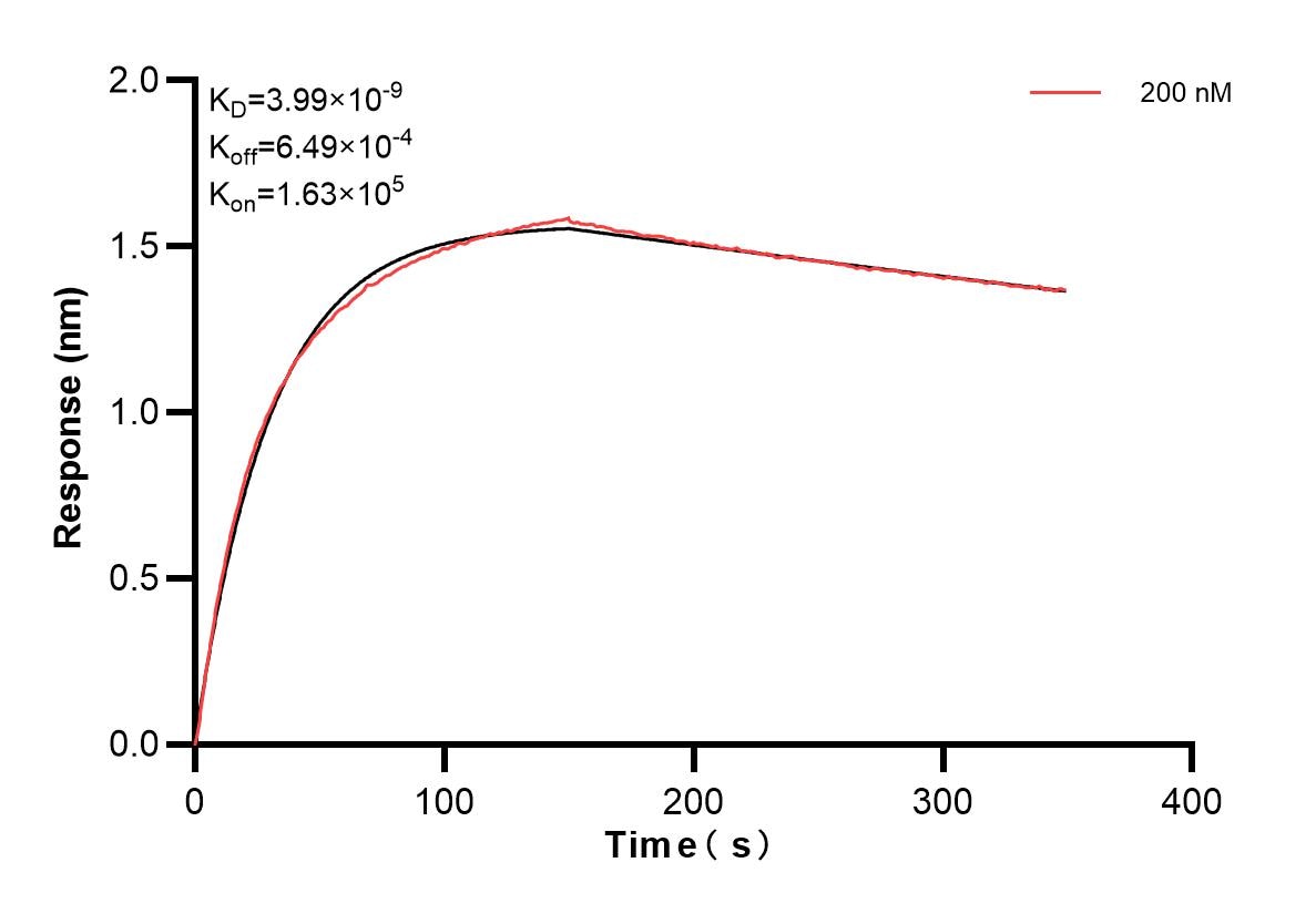 Affinity and Kinetic Characterization of 83465-4-PBS