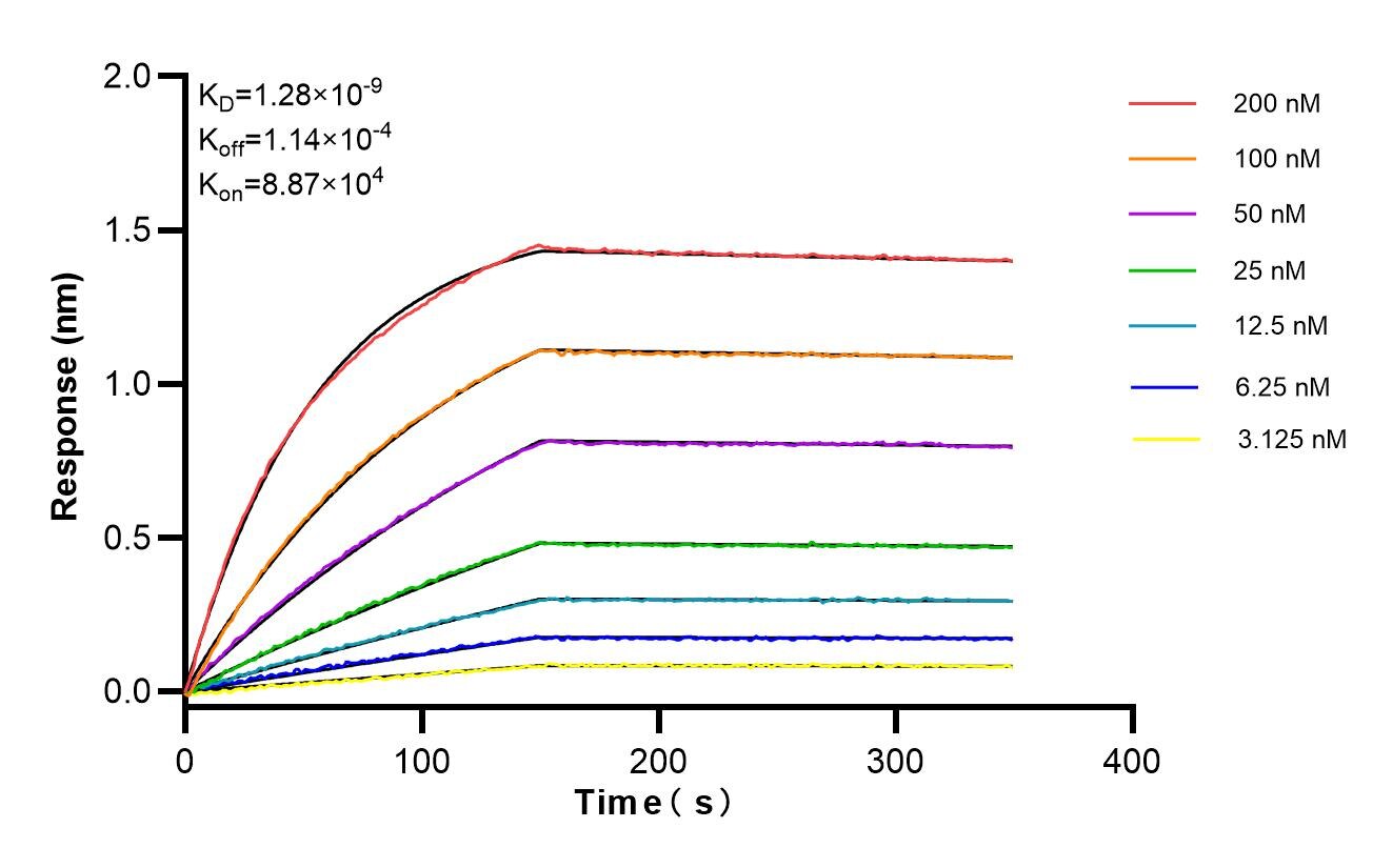 Affinity and Kinetic Characterization of 83466-3-RR