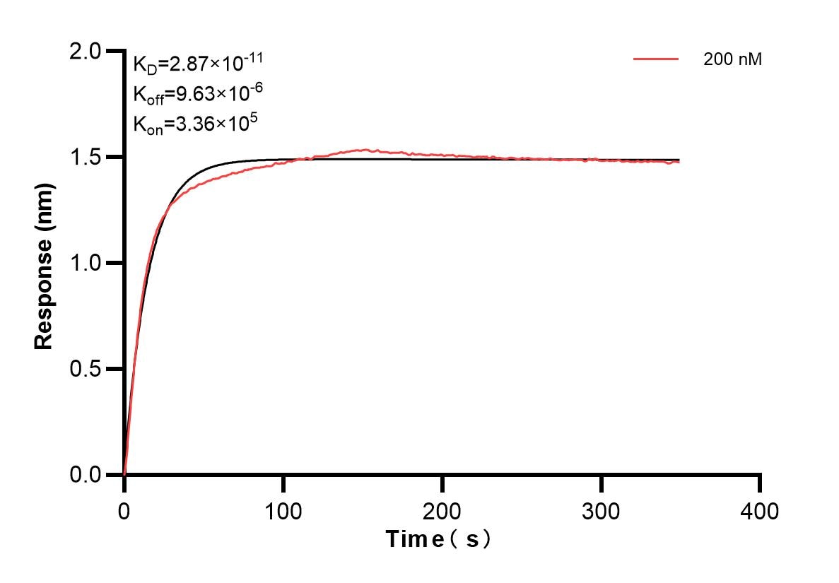 Affinity and Kinetic Characterization of 83467-1-PBS