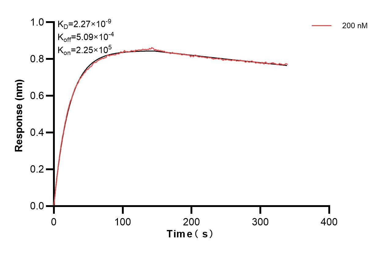 Affinity and Kinetic Characterization of 83468-2-PBS