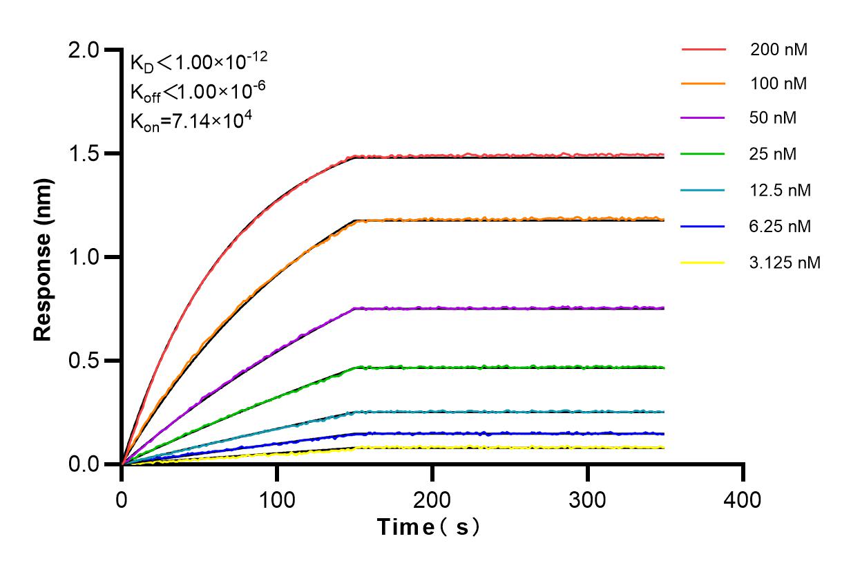 Affinity and Kinetic Characterization of 83469-4-RR