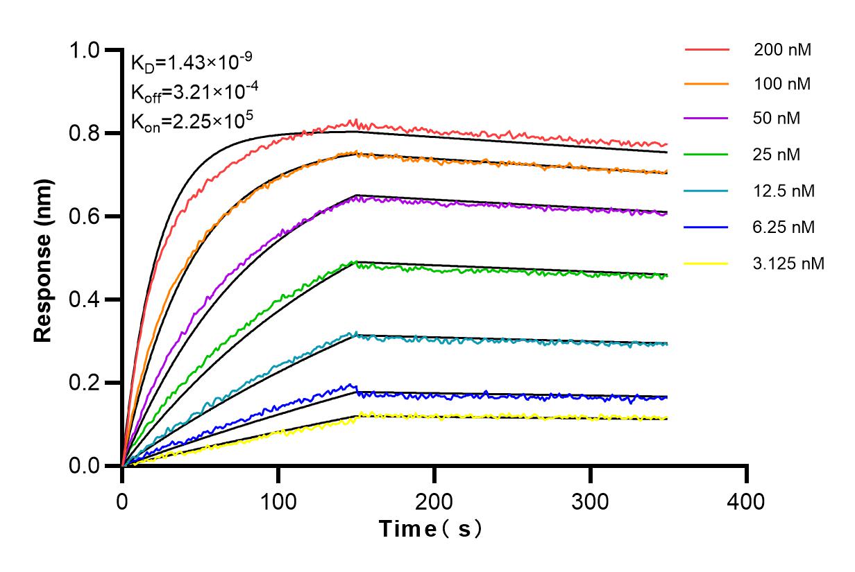 Affinity and Kinetic Characterization of 83473-3-RR