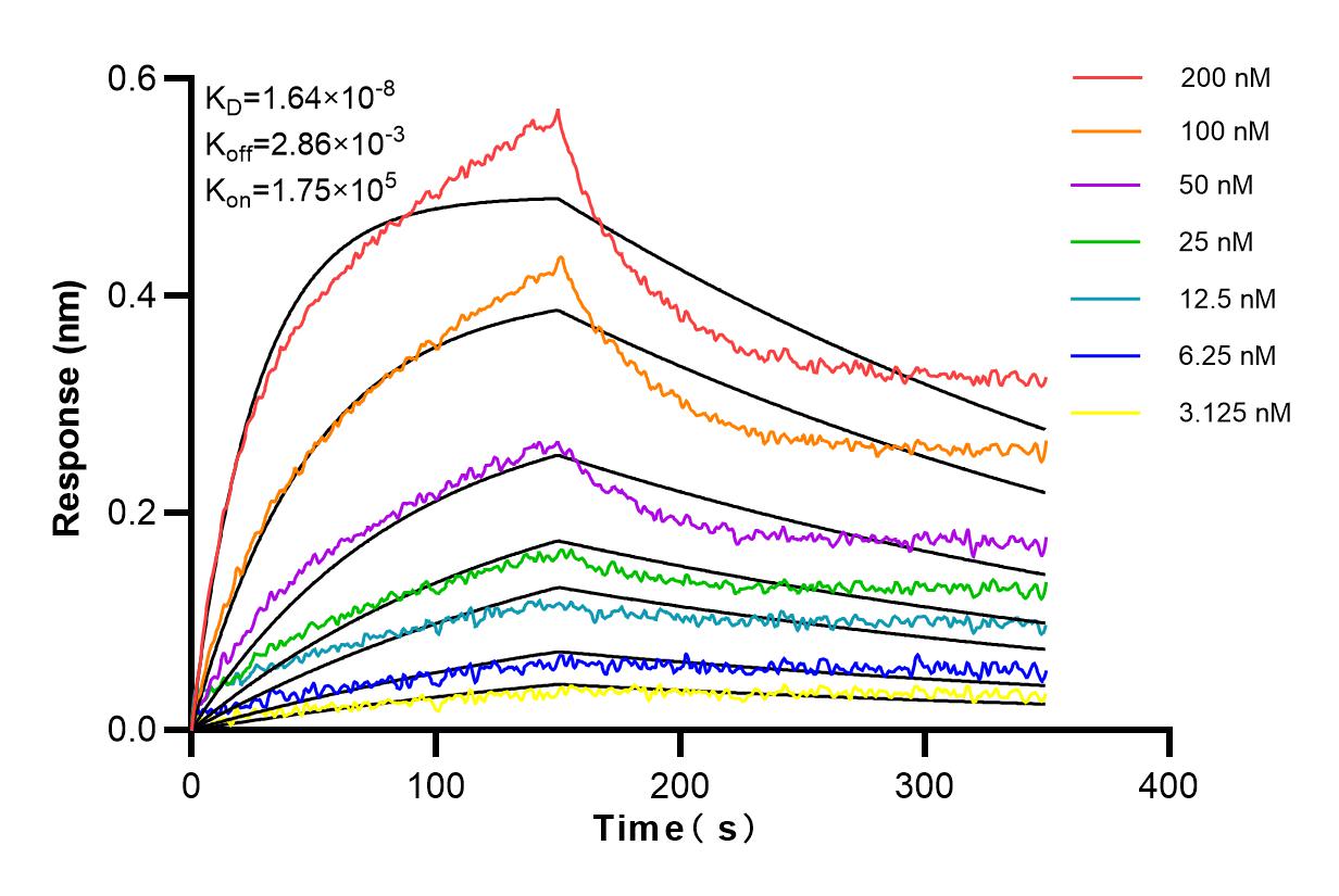 Affinity and Kinetic Characterization of 83482-4-RR