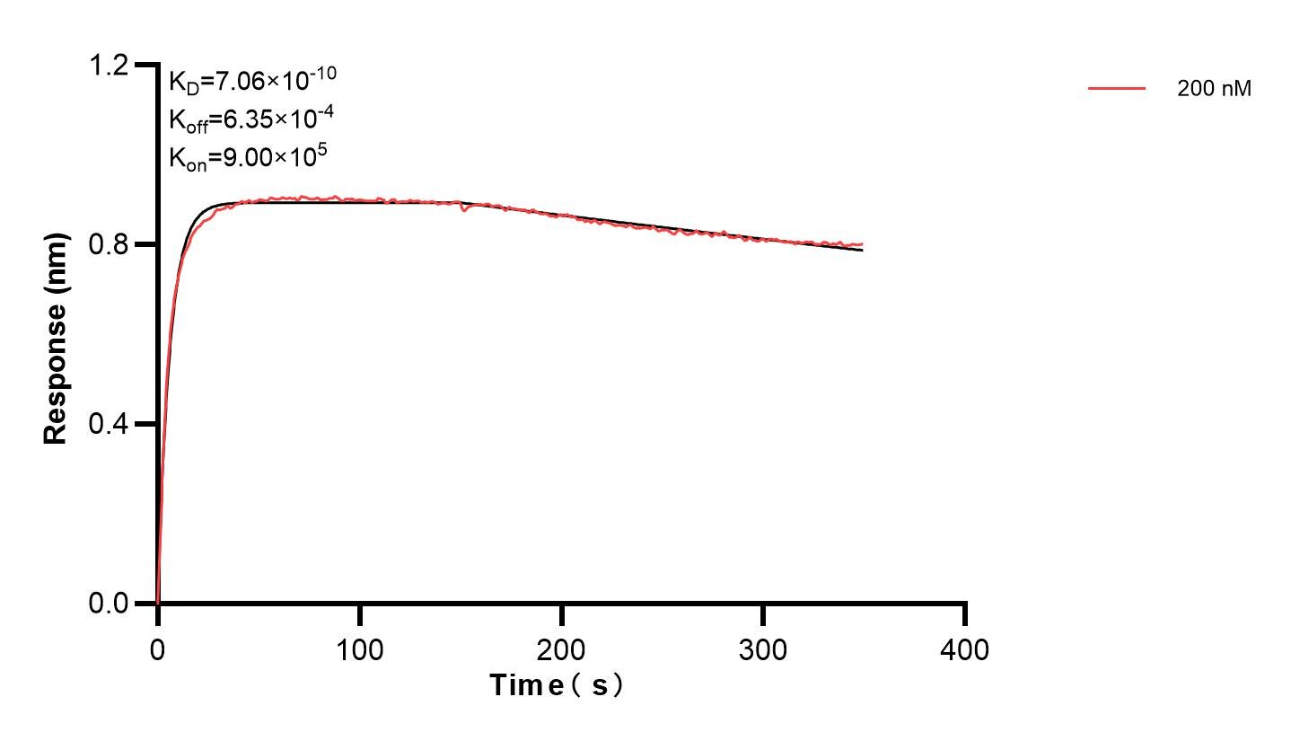 Affinity and Kinetic Characterization of 83483-1-PBS