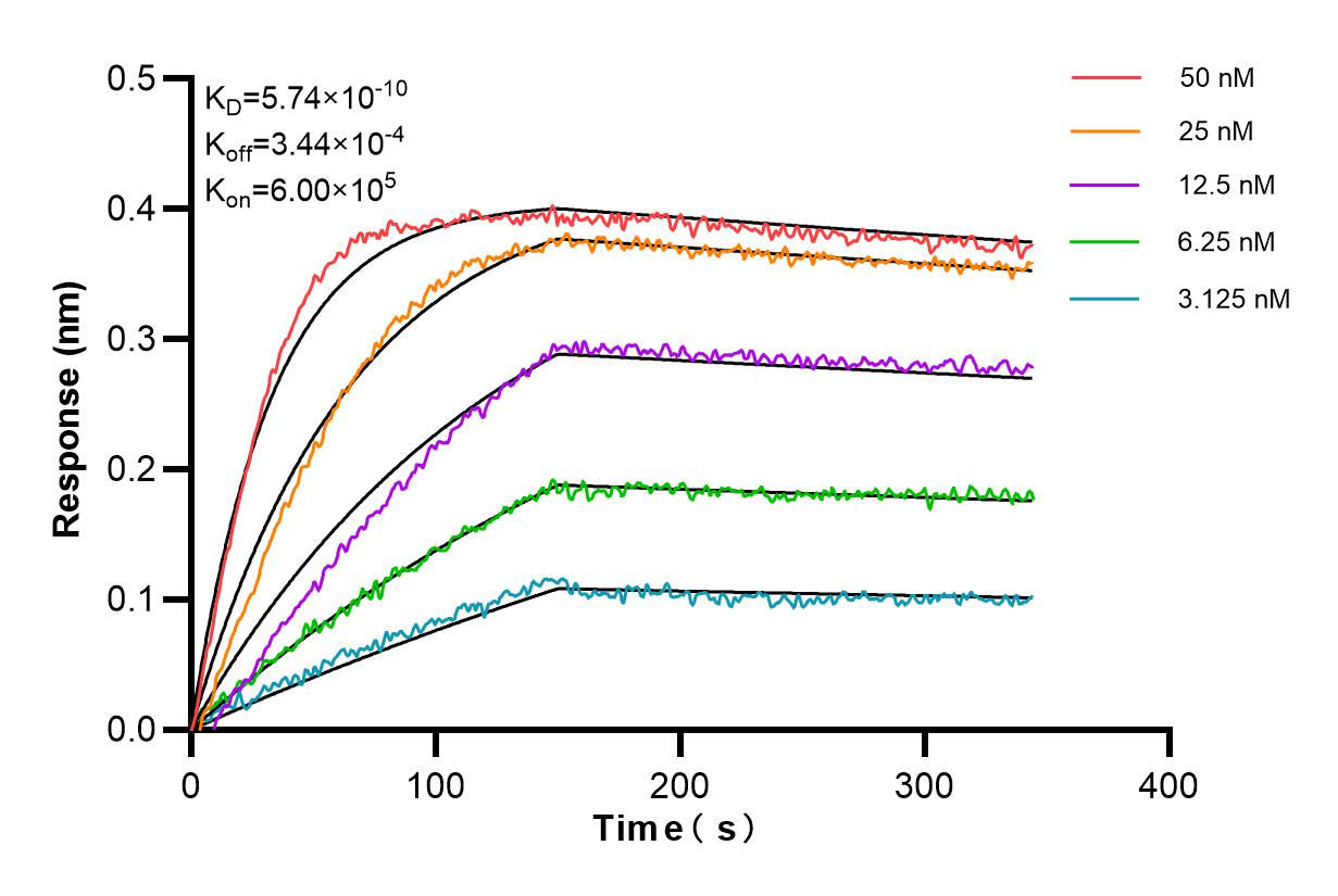 Biolayer interferometry (BLl) kinetic assays of 83492-7-RR against Human CD100 were performed. The affinity constant is 0.574 nM. Affinity and Kinetic Characterization of 83492-7-RR