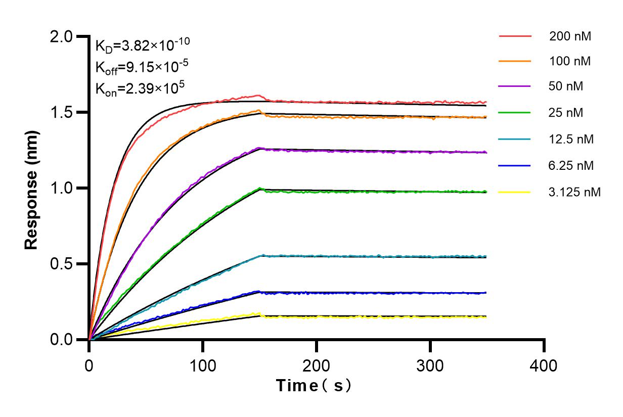 Affinity and Kinetic Characterization of 83497-1-PBS