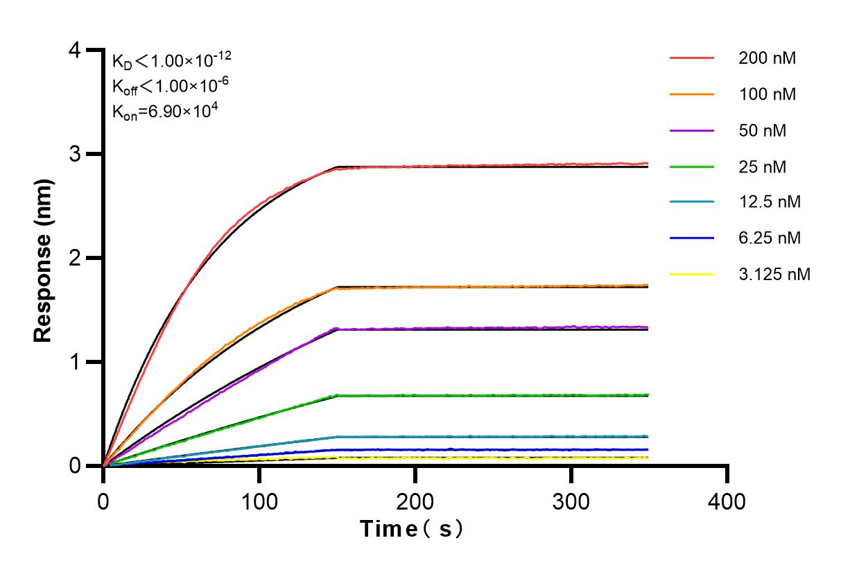 Affinity and Kinetic Characterization of 83506-1-RR