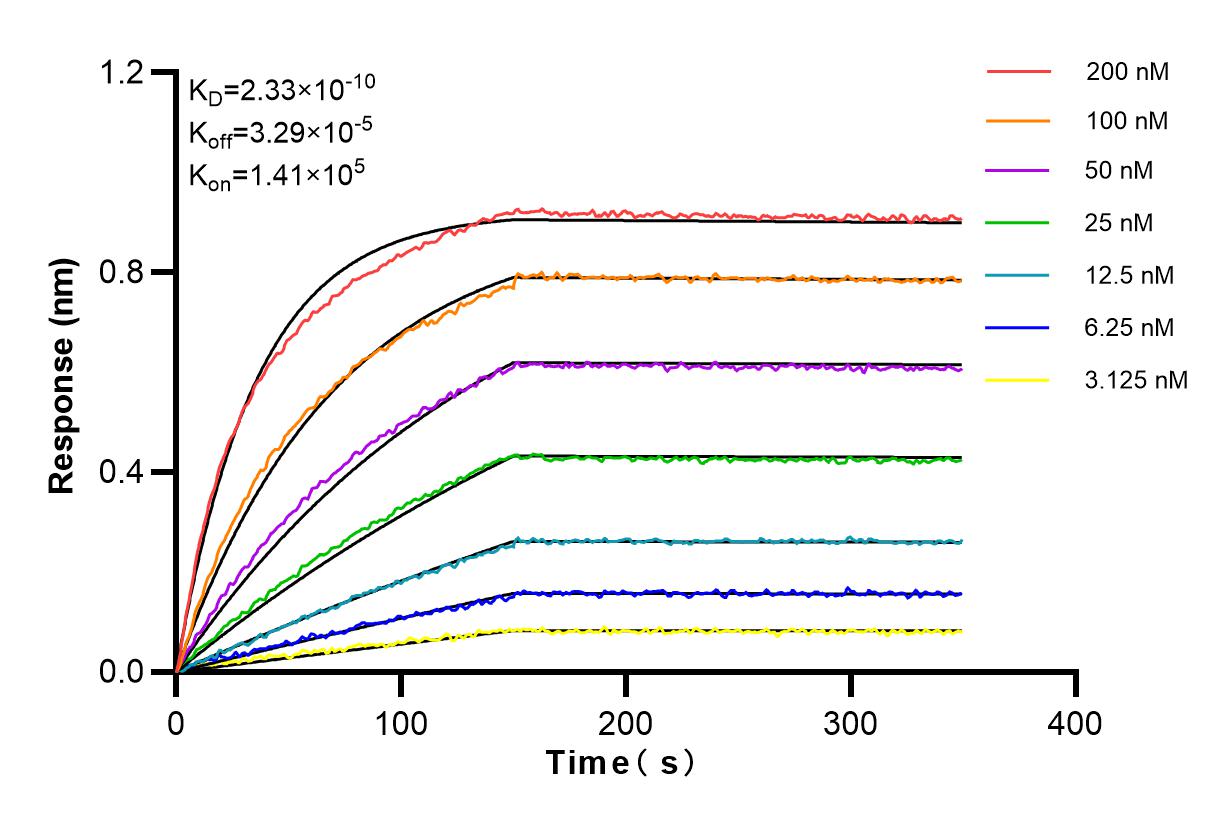 Affinity and Kinetic Characterization of 83509-5-RR