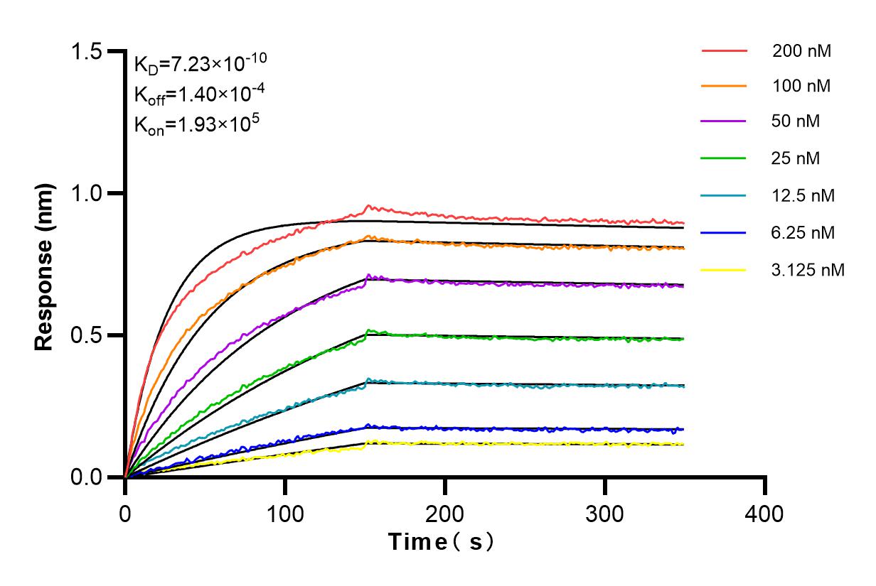 Affinity and Kinetic Characterization of 83509-6-RR