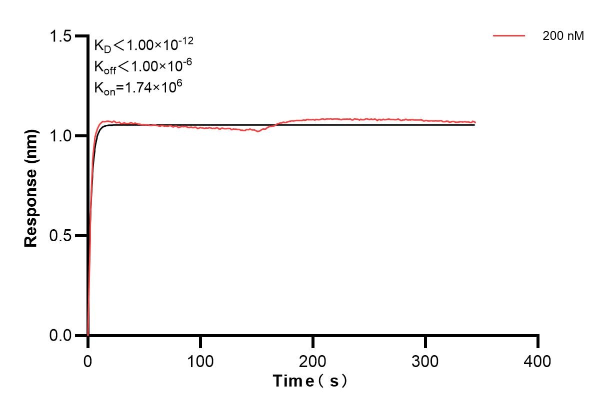 Affinity and Kinetic Characterization of 83513-3-PBS