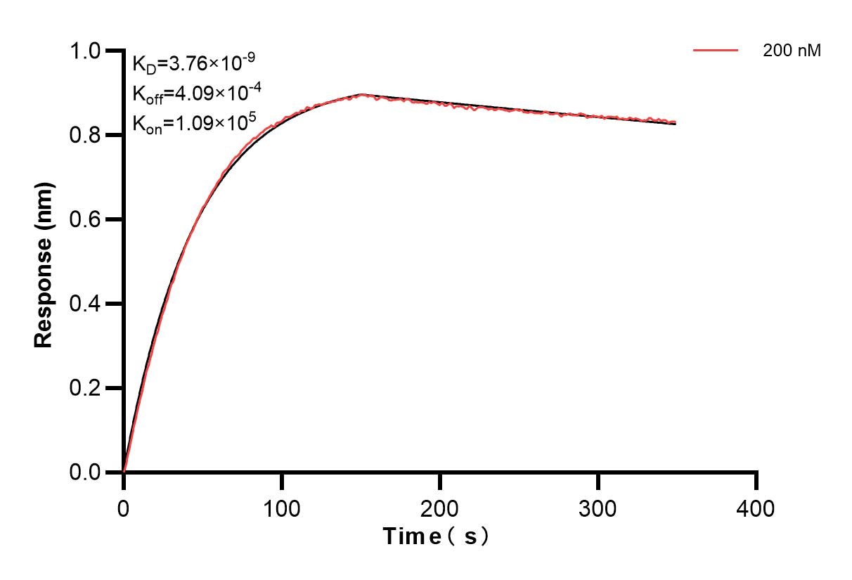 Affinity and Kinetic Characterization of 83524-4-PBS
