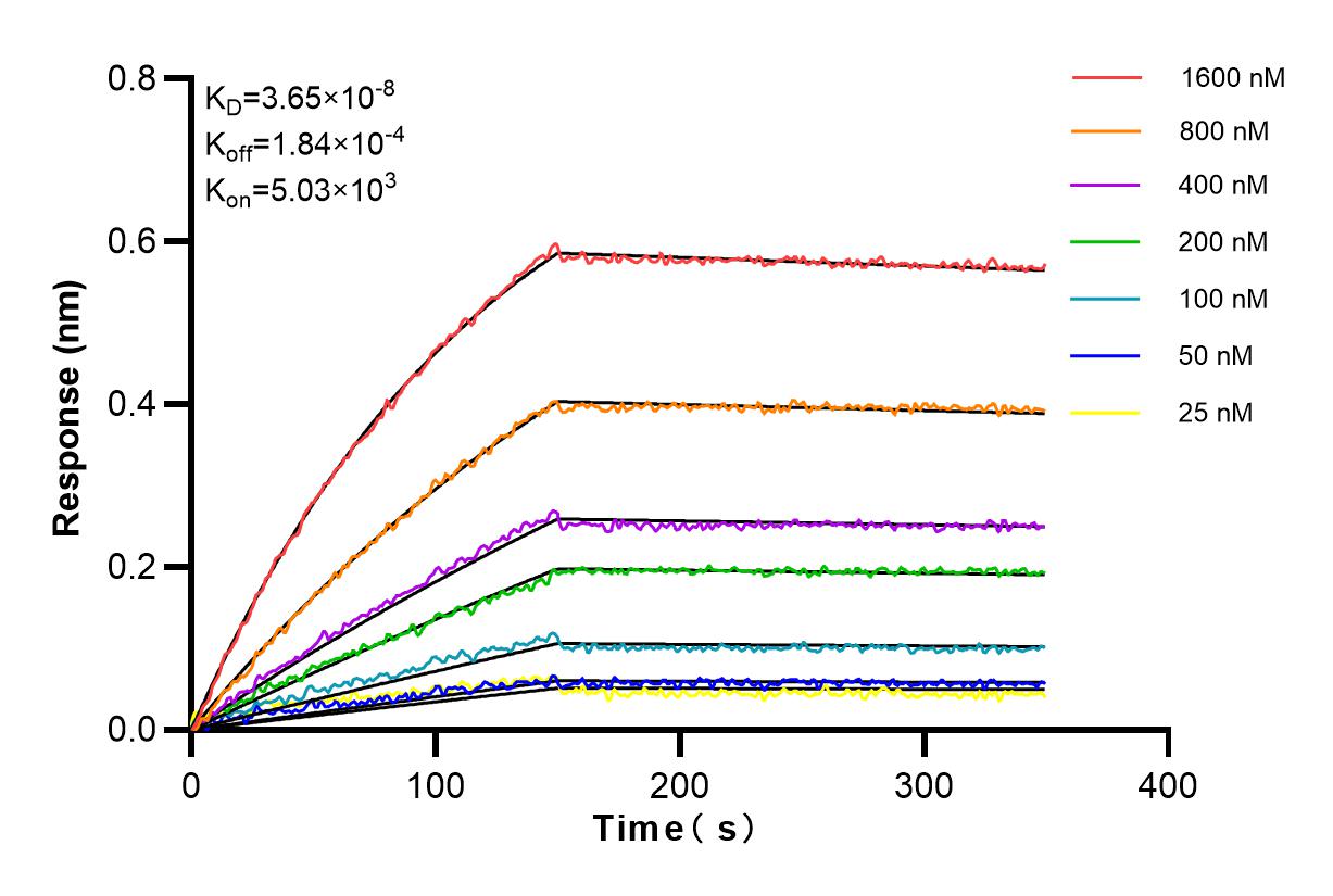 Affinity and Kinetic Characterization of 83547-3-PBS