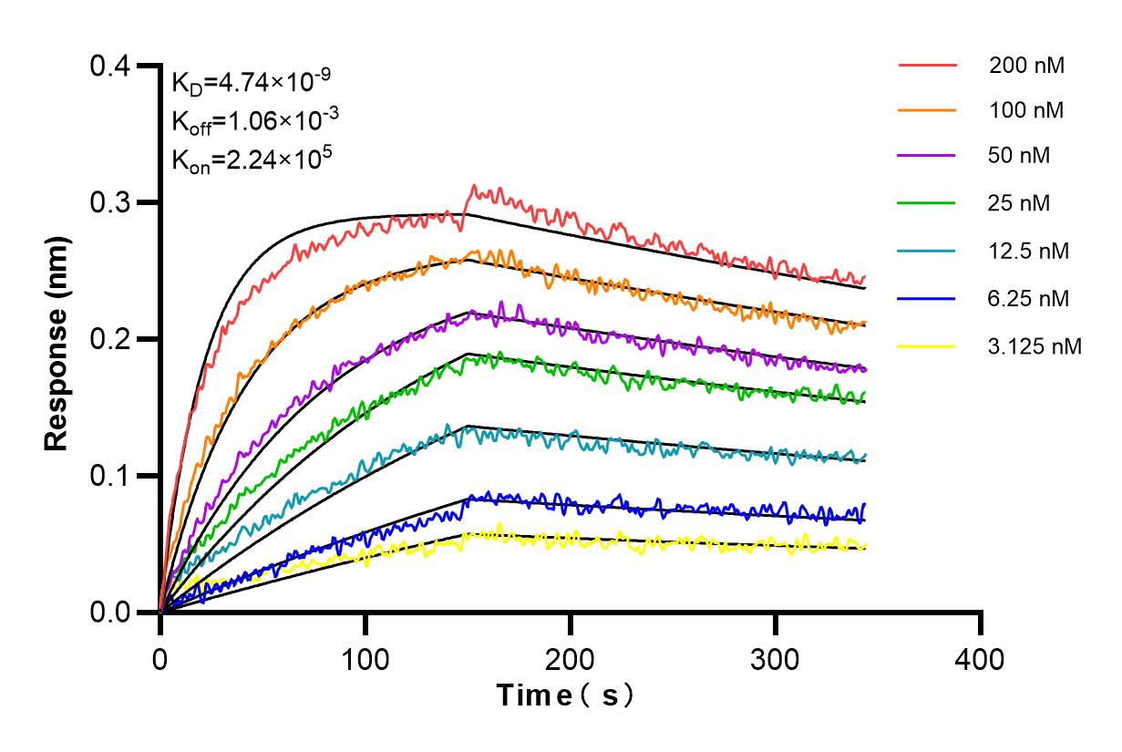 Affinity and Kinetic Characterization of 83551-1-PBS