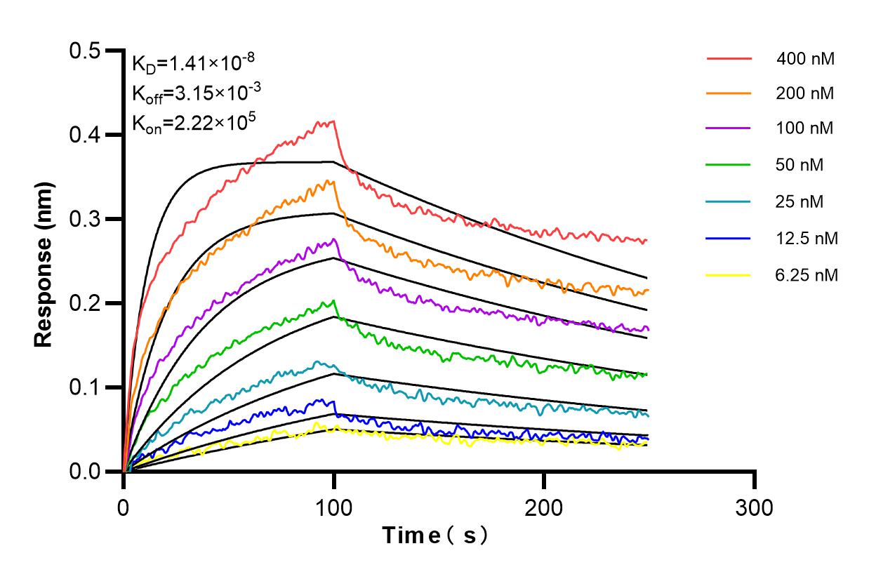 Affinity and Kinetic Characterization of 83551-2-PBS