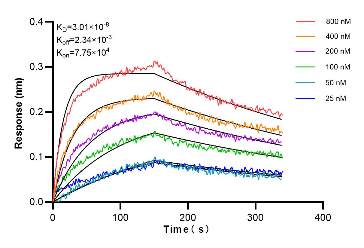Affinity and Kinetic Characterization of 83551-4-PBS