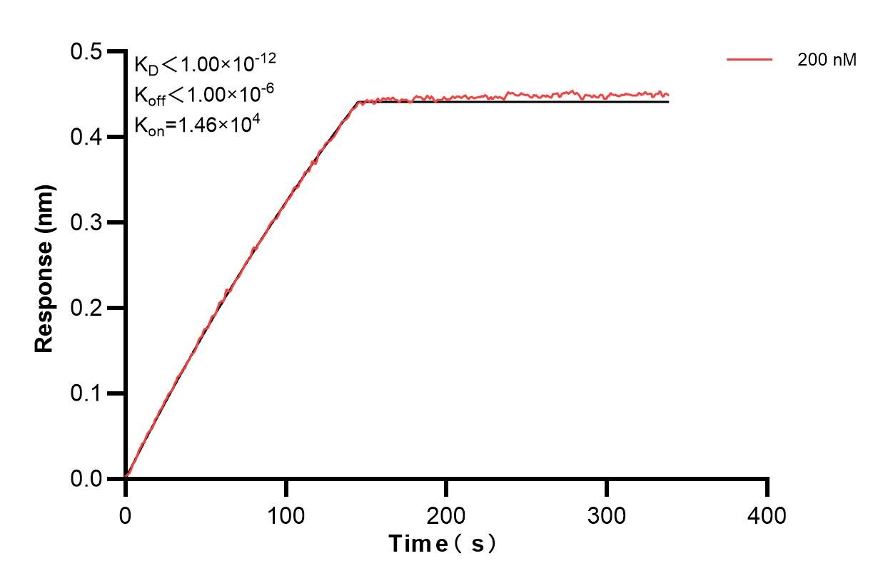 Affinity and Kinetic Characterization of 83555-4-PBS